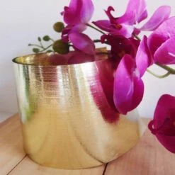 4.25’’ X 50 YDS GOLD ASPIDISTRA -Cheap CERAMIC Shop 425 x 50 yds gold aspidistra 3