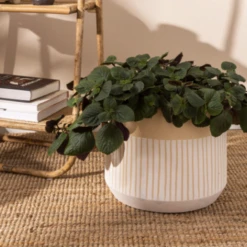 11.5”H X 13.5” WHITE/TAN CERAMIC AVELINE POT -Cheap CERAMIC Shop accent decor 115h x 135 white tan ceramic aveline 1