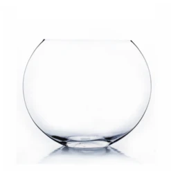 Clear Large Moon Vase H-13" X D-16"