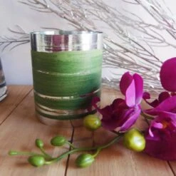 RIBBON LEAF ASPIDISTRA 4.25’’ X 50 YDS SILVER/GREEN -Cheap CERAMIC Shop ribbon leaf aspidistra 425 x 50 yds silver green 2